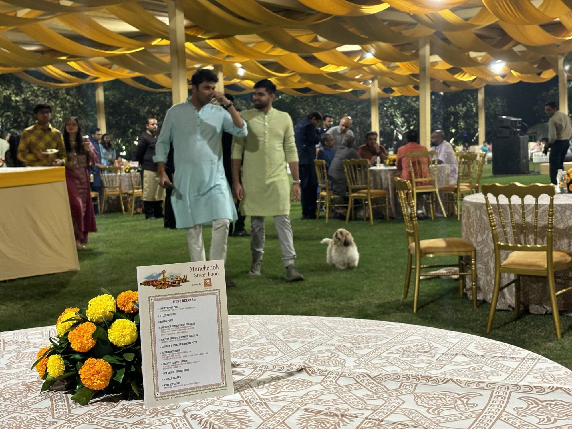 Guests enjoying a garden celebration